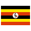 UG